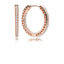 Creolen Funkeln und Herzen 14k Rose Gold Plattiert