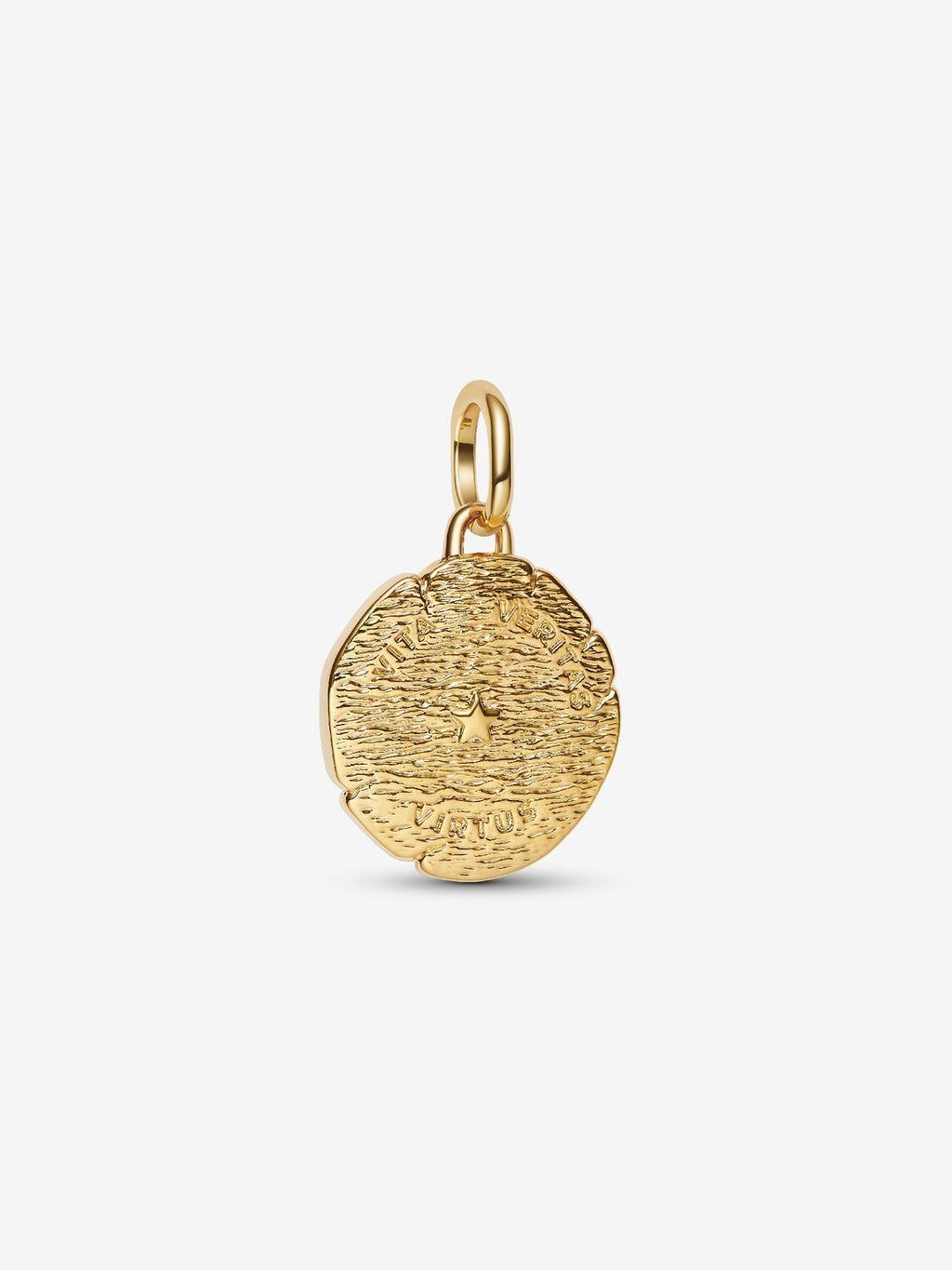 Löwe Medaillon-Charm 14 Karat Vergoldung