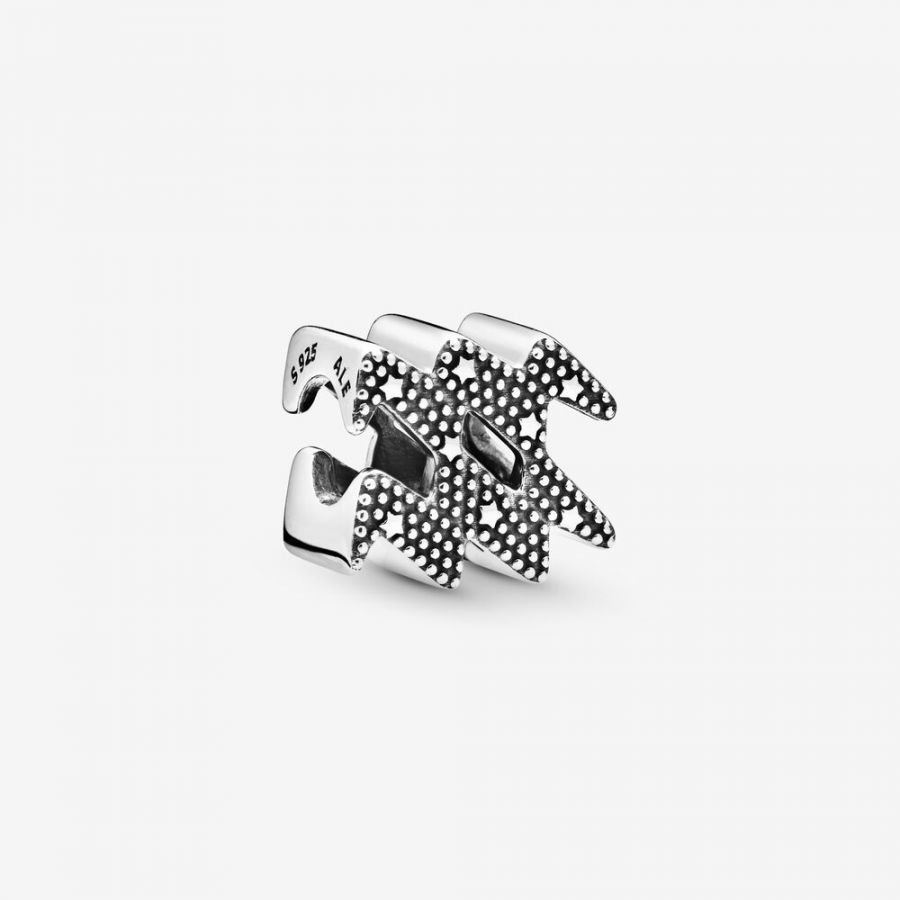 Charm Funkelnder Wassermann Sterling-Silber