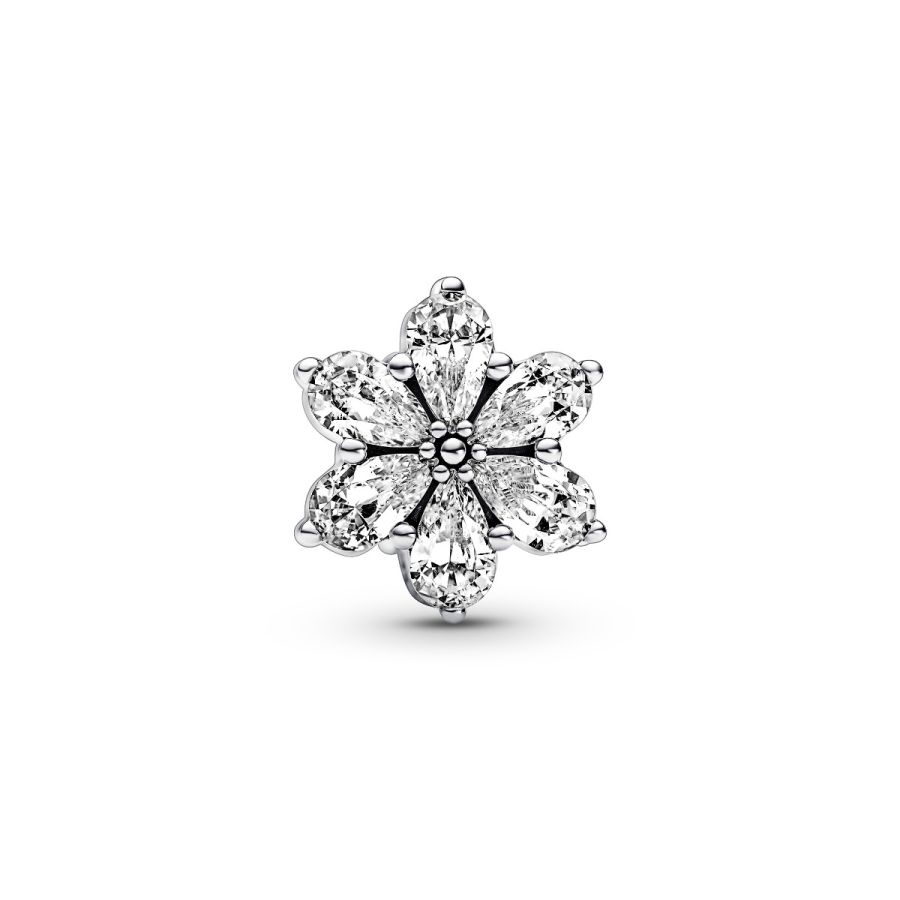 Charm Funkelndes Herbarium Cluster Zirkonia Silber Hauptbild