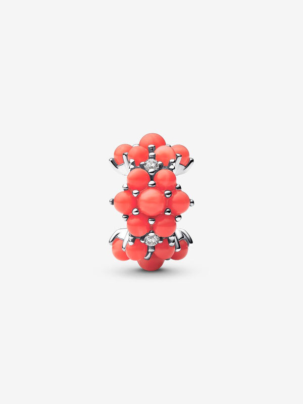 Korallenrotes Ozean Charm Sterling-Silber
