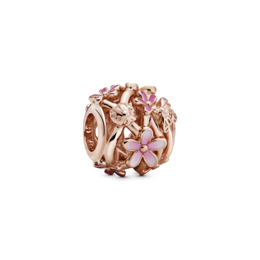 Rose  Charm Rosafarbenes Gänseblümchen Hauptbild