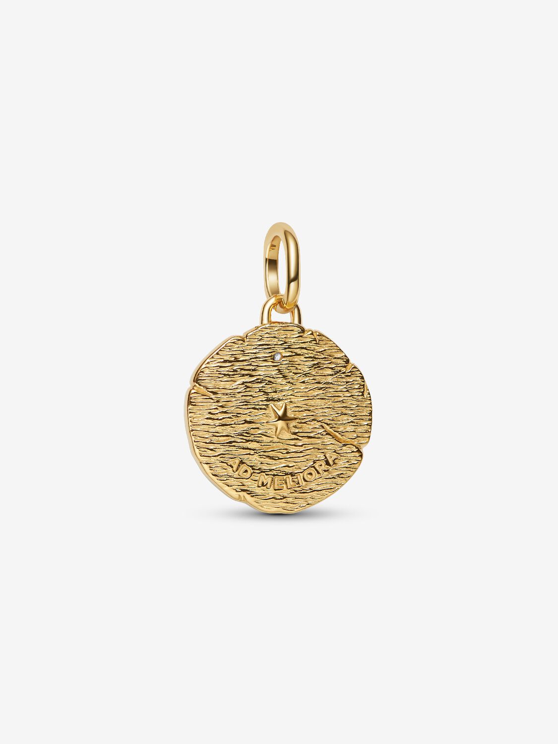 Kreuzende Pfeile Medaillon-Charm Sterling-Silber, 14 Karat Vergoldung