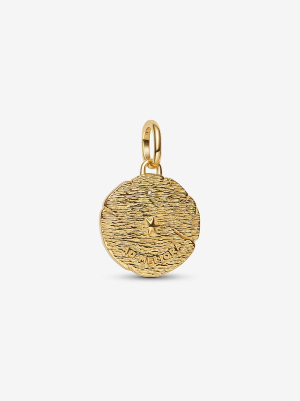 Kreuzende Pfeile Medaillon-Charm Sterling-Silber, 14 Karat Vergoldung