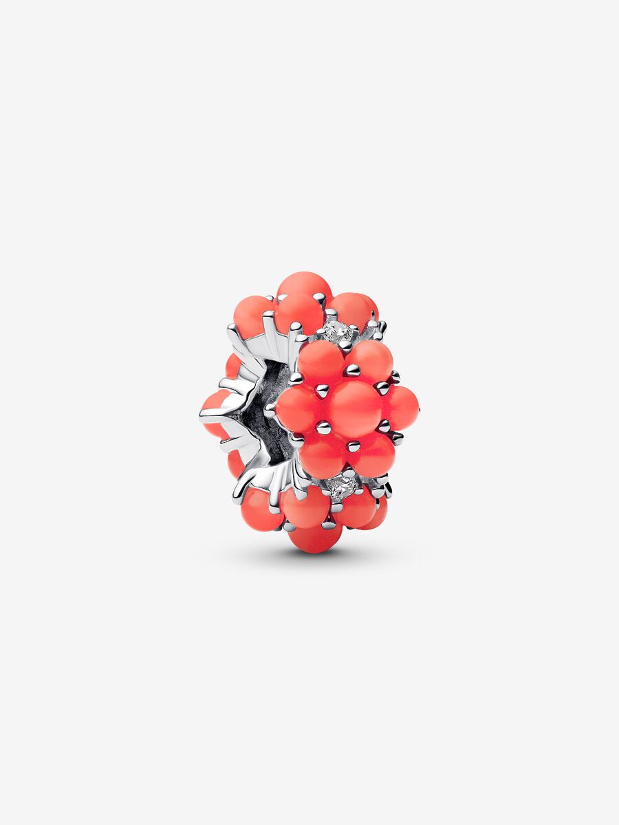 Korallenrotes Ozean Charm Sterling-Silber Hauptbild