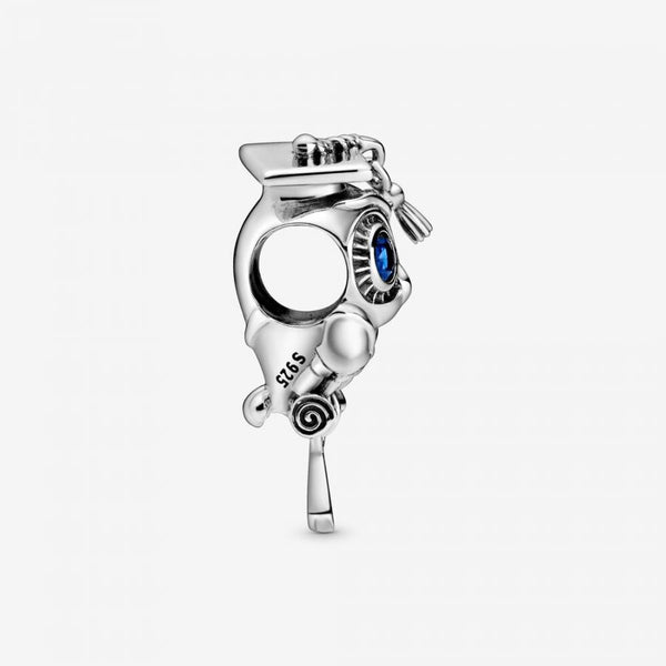 Charm Weise Eule Schulabschluss Silber