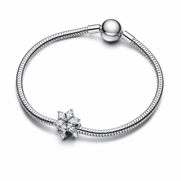 Charm Funkelndes Herbarium Cluster Zirkonia Silber