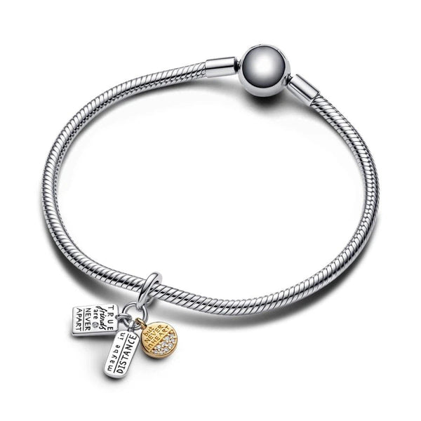 Charm-Anhänger Freundschaft Zirkon Silber Vergoldet