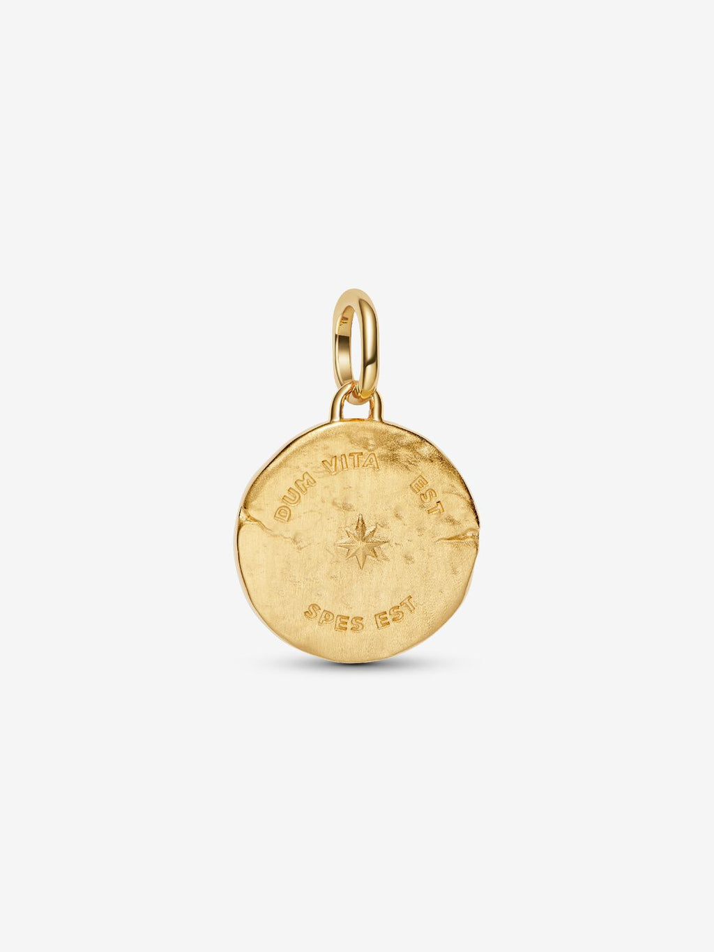 Schwalbe Medaillon-Charm 14 Karat Vergoldung