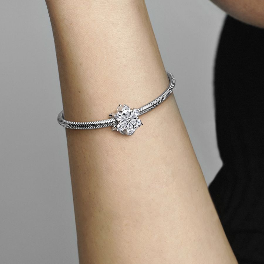 Charm Funkelndes Herbarium Cluster Zirkonia Silber